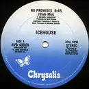 12'' - Icehouse - No Promises