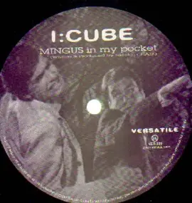 I:Cube - Mingus in my pocket