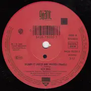 7inch Vinyl Single - Icy Blu - Pump It Nice An' Hard