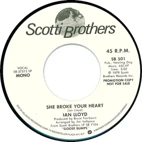 Ian Lloyd - She Broke Your Heart