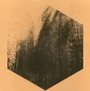 12inch Vinyl Single - Ian Mono - In Oceans