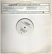 2 x 12inch Vinyl Single - Ian Pooley - Balmes (A Better Life)