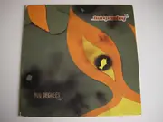 12inch Vinyl Single - Ian Pooley - 900 Degrees Vol. 2