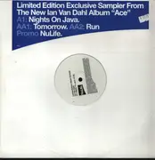 12inch Vinyl Single - Ian Van Dahl - Ace