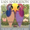 CD - Ian Anderson - The Secret Language of Birds - Limited Edition