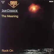 Ian Cussick - The Meaning