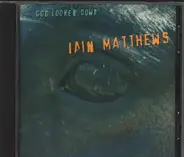 Iain Matthews - God Looked Down