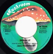 Iain Matthews - Shake It