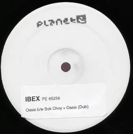 Ibex - Oasis