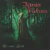 CD - Ignis Fatuu - Es Werde Licht