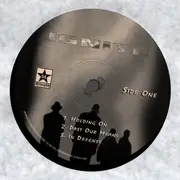 12inch Vinyl Single - Ignite - Past Our Means