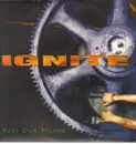 12inch Vinyl Single - Ignite - Past Our Means