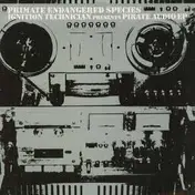 Ignition Technician - Pirate Audio EP