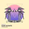 12'' - Igor Vicente - Mystericordia - Ryan Crosson Remix