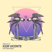 Igor Vicente - Mystericordia, Ryan Crosson Rmx