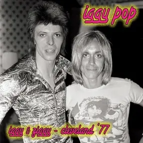 Iggy Pop - Iggy & Ziggy