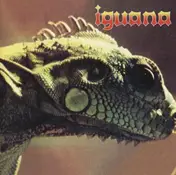 Iguana - Iguana