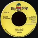 7inch Vinyl Single - Idonia / Stratdon - Bush-Kash / Lights Out