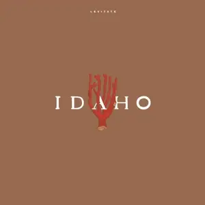 Idaho - Levitate