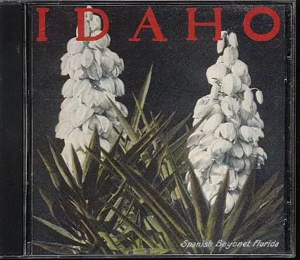 Idaho - The Bayonet Ep