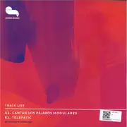 12inch Vinyl Single - Idana - Cantan Los Pájaros Modulares