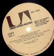 Double LP - Ike & Tina Turner - 'What You Hear Is What You Get' - Live At Carnegie Hall