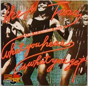 Double LP - Ike & Tina Turner - 'What You Hear Is What You Get' - Live At Carnegie Hall