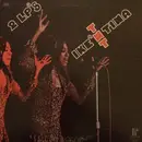 Double LP - Ike & Tina Turner - Tnt