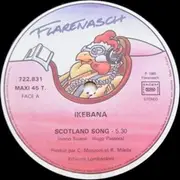 12inch Vinyl Single - Ikebana - Scotland Song / All The Night