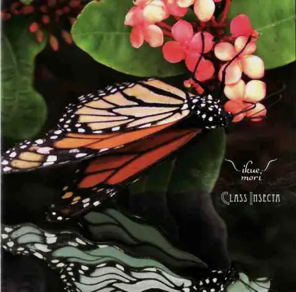 Ikue Mori - Class Insecta