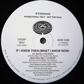 II D Extreme - If I Knew Then (What I Know Now)