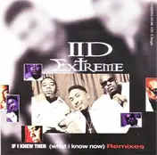 II D Extreme - If I Knew Then (What I Know Now) Remixes