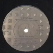 II D Extreme - Up On The Roof