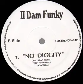 II dam funky - No Diggity