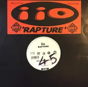 12inch Vinyl Single - iiO - Rapture
