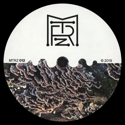 Ion Ludwig - A Better Future To Long EP
