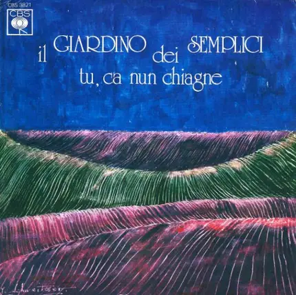 Il Giardino Dei Semplici - Tu, Ca Nun Chiagne