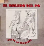 Il Mulino del Po