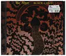 CD - Ilê Aiyê - Black Chant