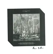 12inch Vinyl Single - Illum Sphere - Birthday - Signed by Roger ballen