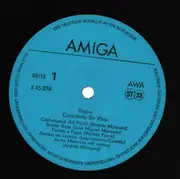 LP - Illapu - Concierto en vivo