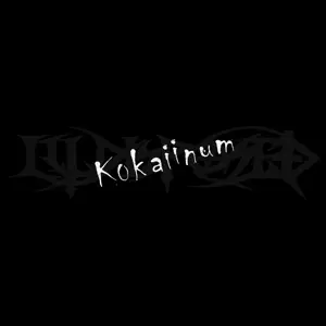 Illdisposed - Kokaiinum