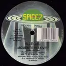 12inch Vinyl Single - Illegal - Moments In Love