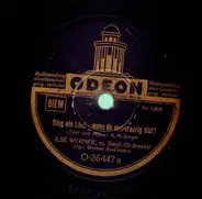 Ilse Werner - Sing ein Lied - wenn du mal traurig bist! / So wird's nie wieder sein!