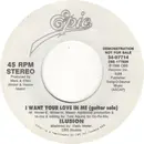 7inch Vinyl Single - Ilusion - I Want Your Love In Me