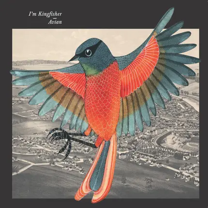 I'm Kingfisher - Avian