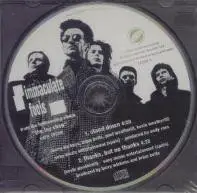 Immaculate Fools - Stand Down
