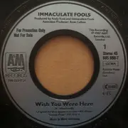 7inch Vinyl Single - Immaculate Fools - Wish You Were Here