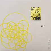 12inch Vinyl Single - Image Visualization Environment - Nueoiwo - EP