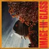 7inch Vinyl Single - Image In Glass - Part One